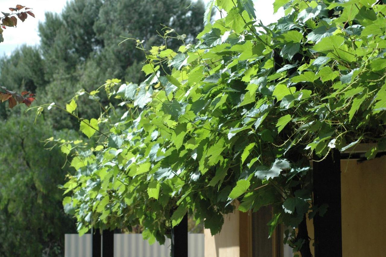 موتيل Burra بورا موتور إن المظهر الخارجي الصورة